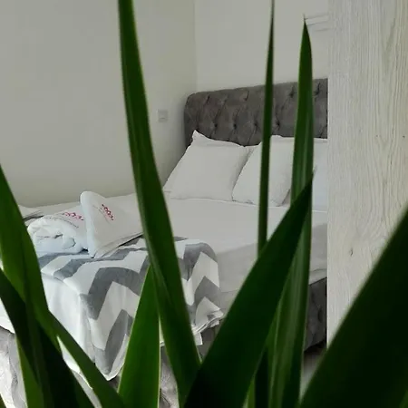 Apartment Luxury Iva