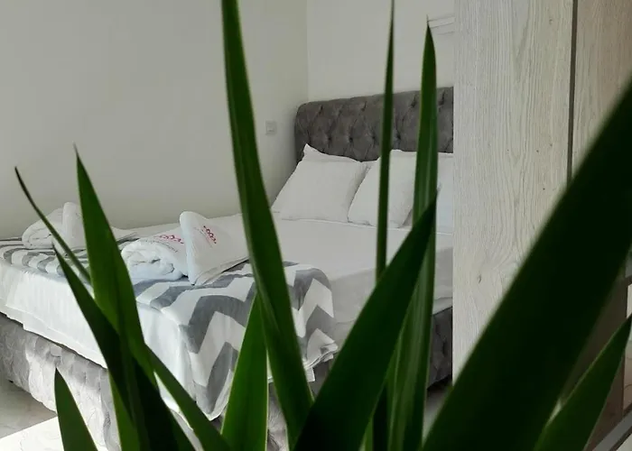 Apartment Luxury Iva